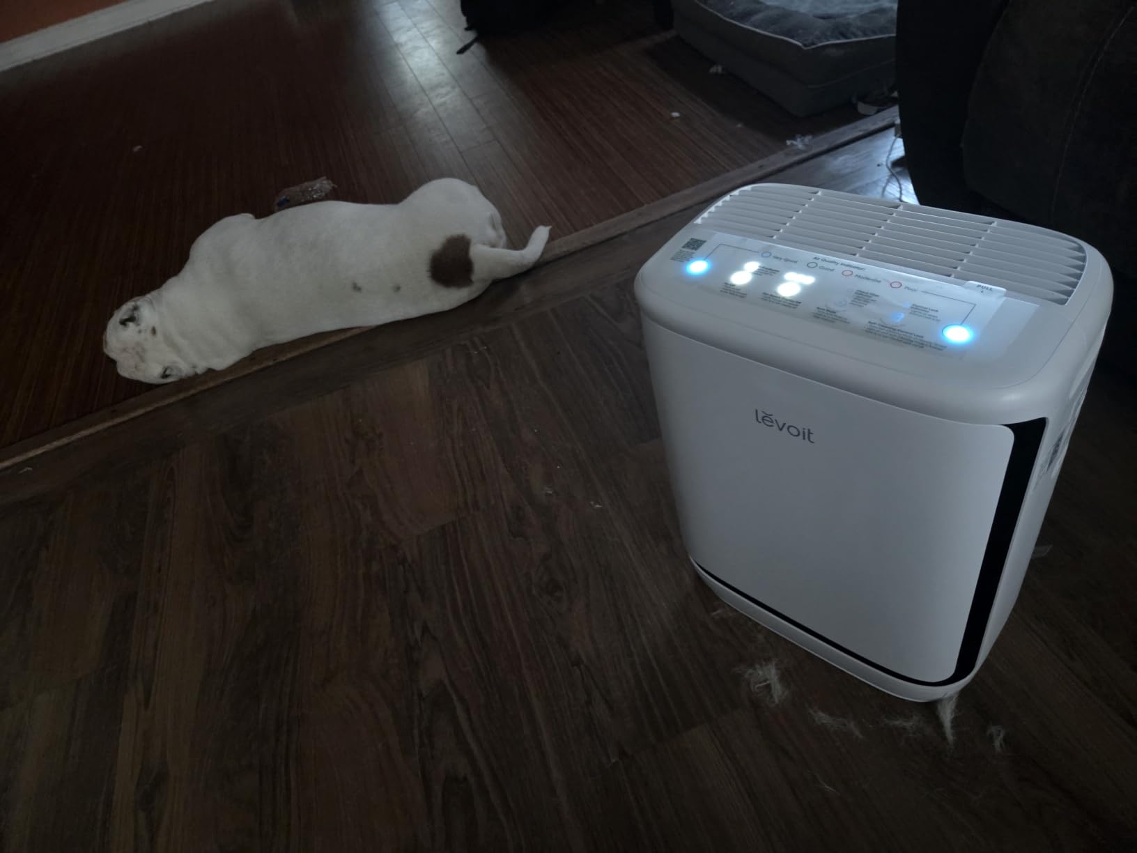 LEVOIT Smart Pet Air Purifier for Home Pets Large Room, Vital Pet Pro,White customer photo 2
