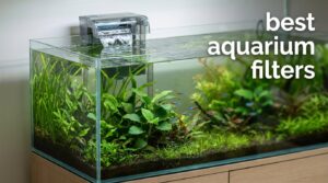 best aquarium filters