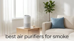 best air purifiers for smoke