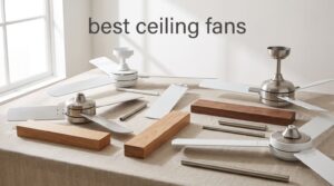 best ceiling fans