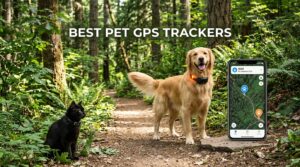 best pet gps trackers